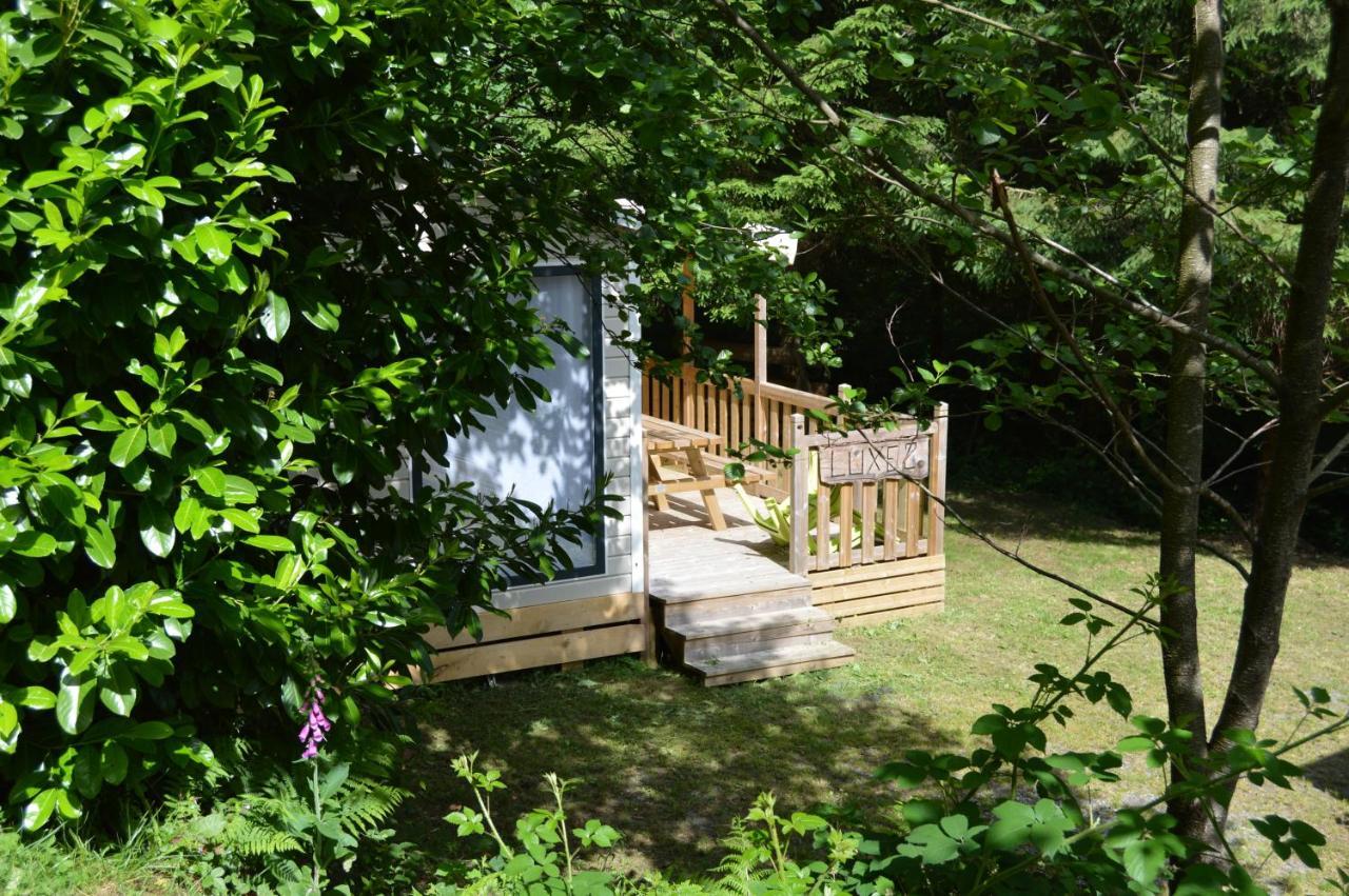שיני Camping Le Canada-Insolite מראה חיצוני תמונה