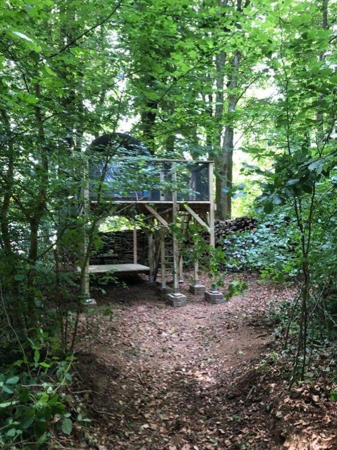 שיני Camping Le Canada-Insolite מראה חיצוני תמונה