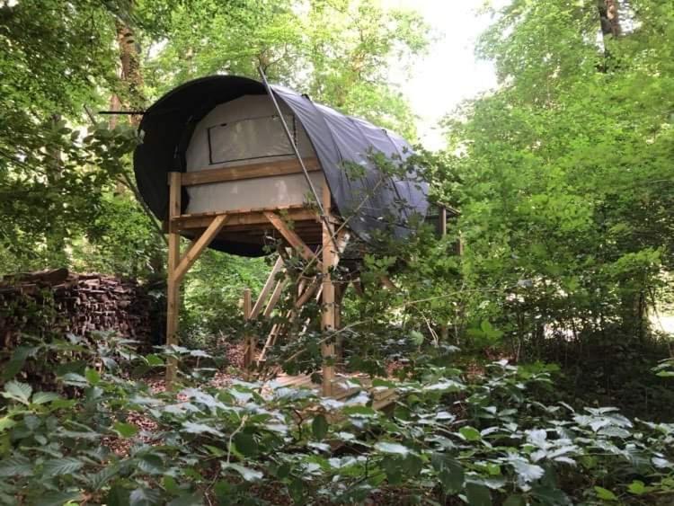 שיני Camping Le Canada-Insolite מראה חיצוני תמונה