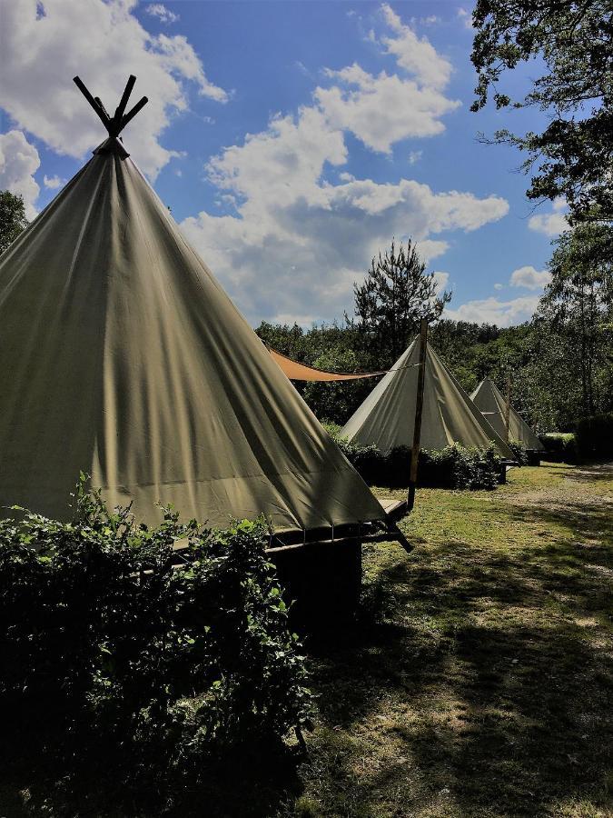 שיני Camping Le Canada-Insolite מראה חיצוני תמונה